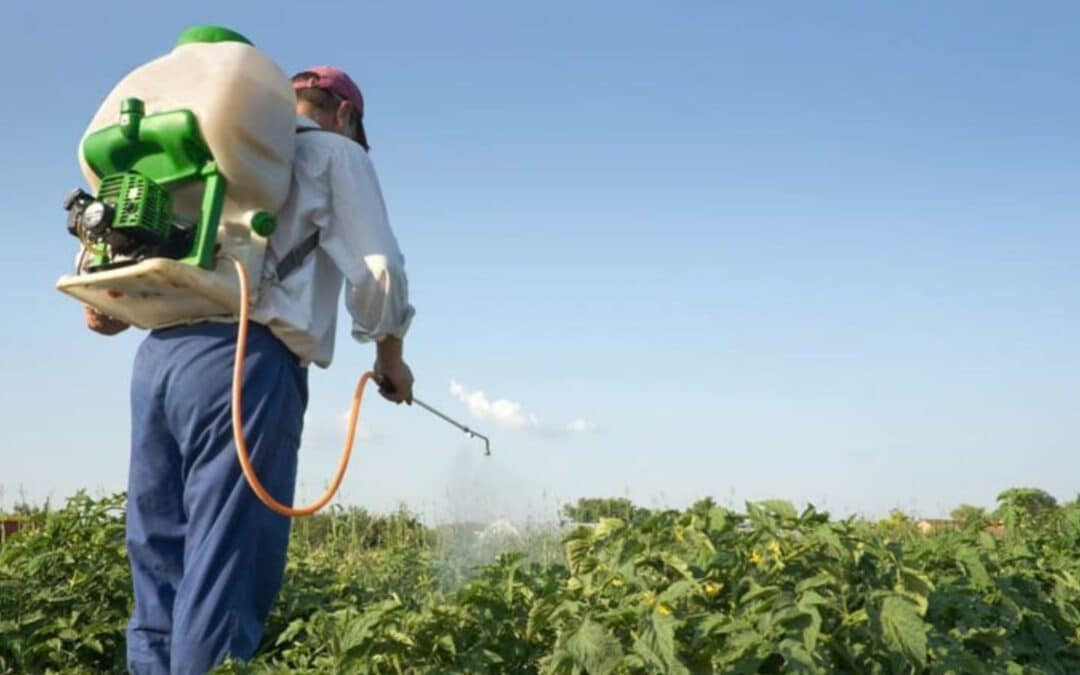 Usos del insecticida botánico