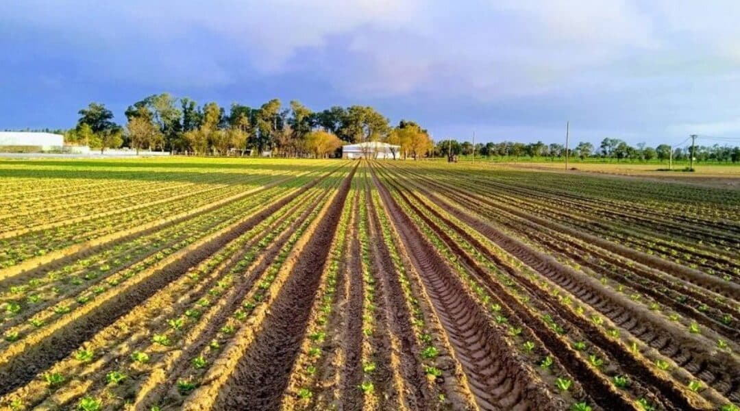 ¿Cómo potenciar los productos agroquímicos?