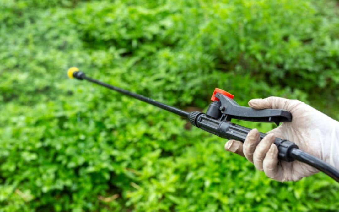 Tipos de fumigación, urbana y agrícola