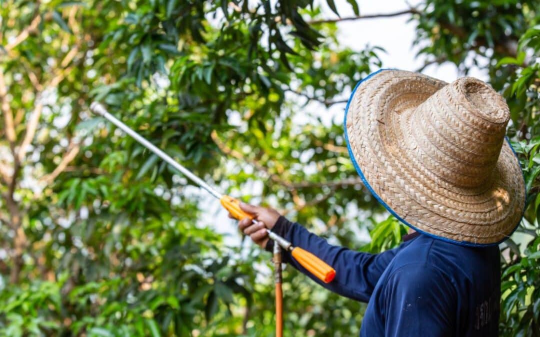 Beneficios de un Buen Fungicida